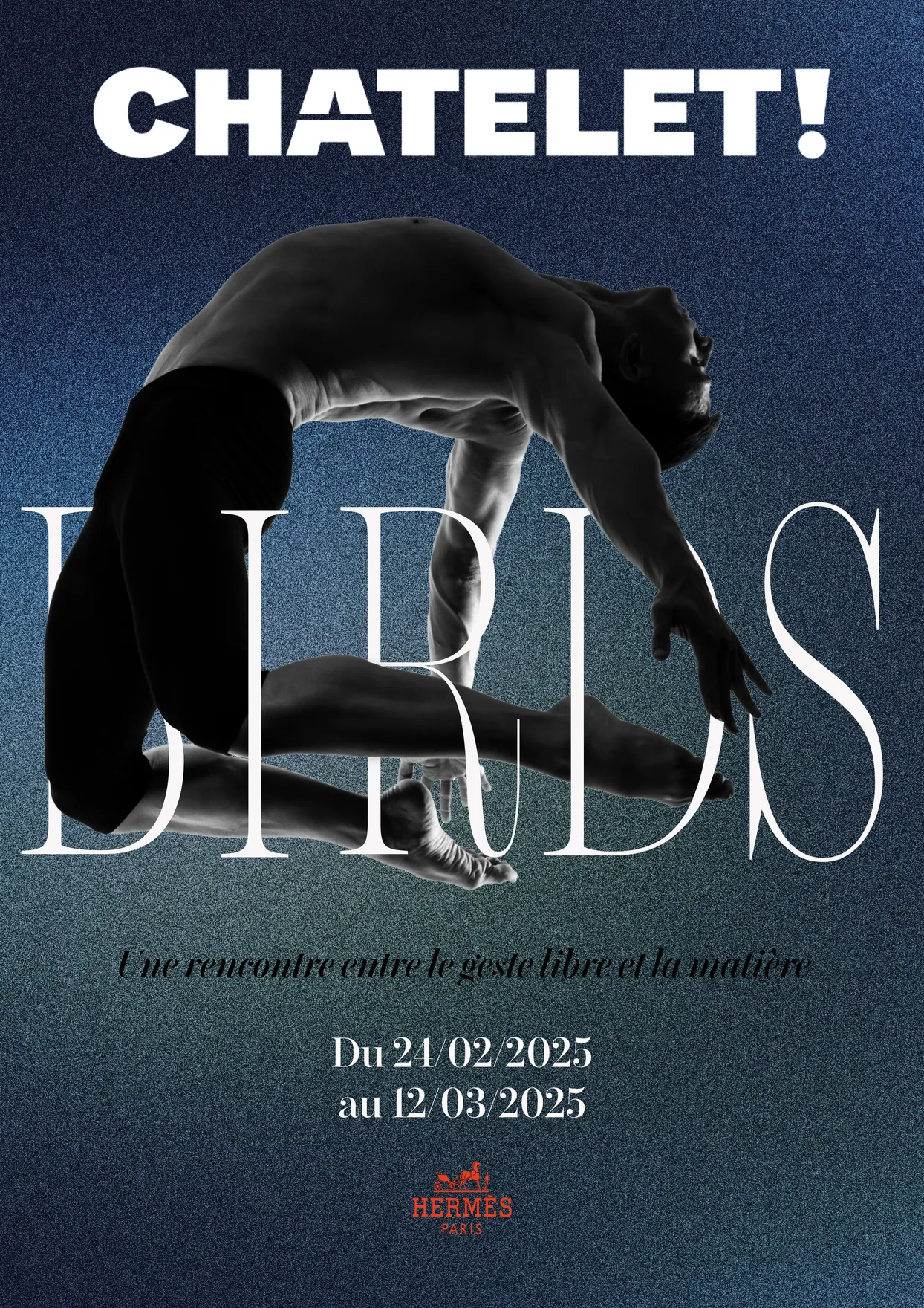 Affiche BIRDS, danseur en contre-jour