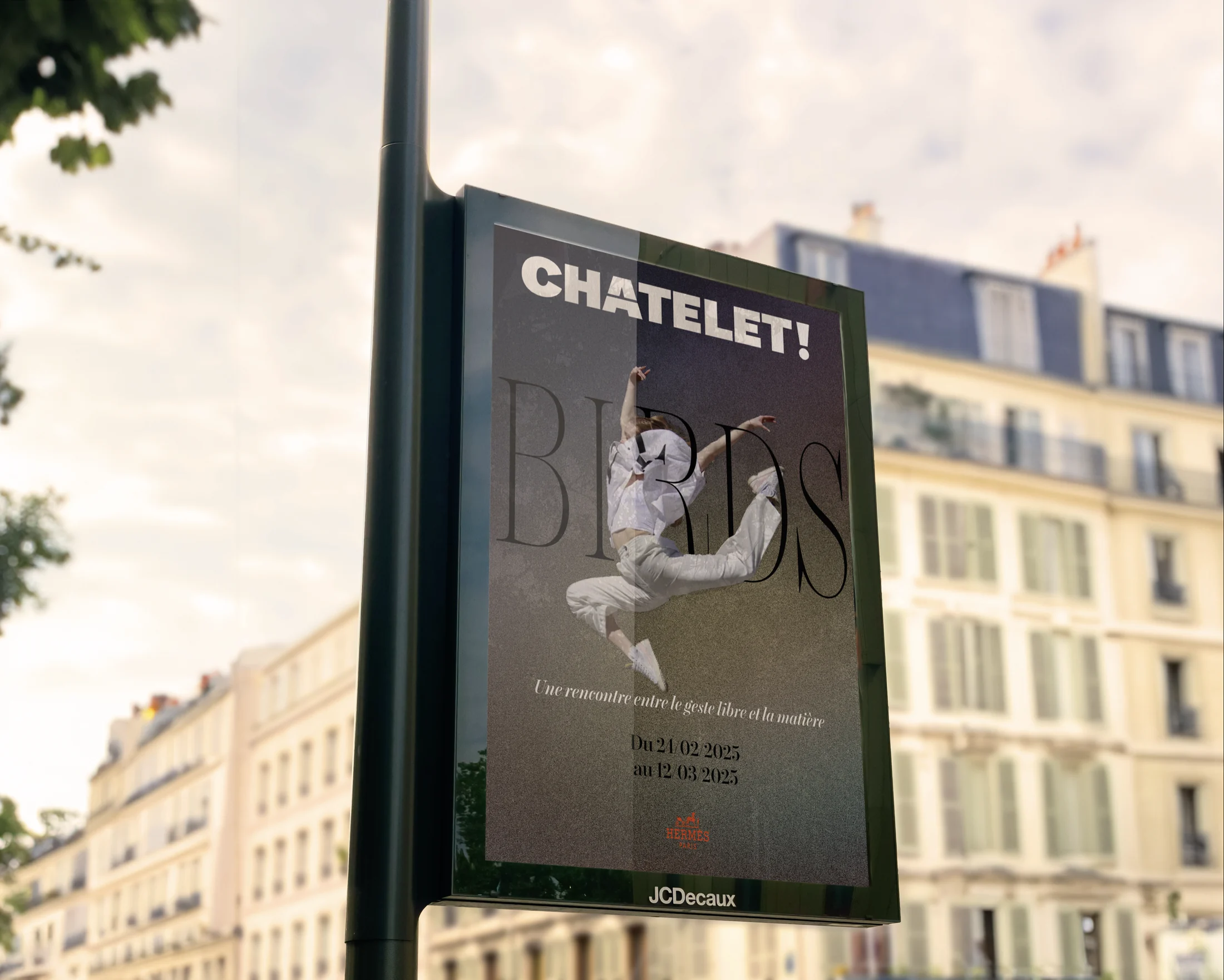 Affiche BIRDS sur un panneau d'affichage parisien