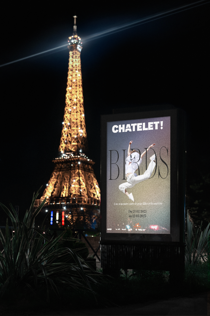 BIRDS Châtelet × Hermès — affiche nuit Tour Eiffel